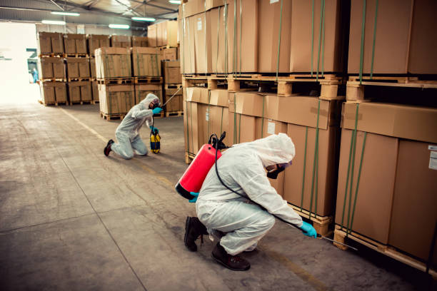 Best Best Pest Control Companies  in Bakersfield, CA