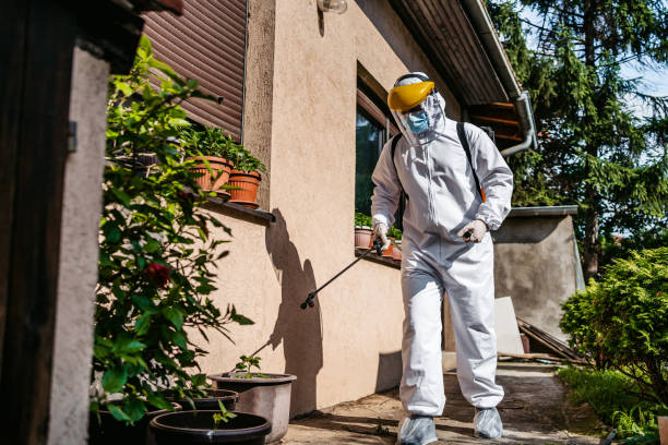 Best Best Pest Control Companies  in Bakersfield, CA
