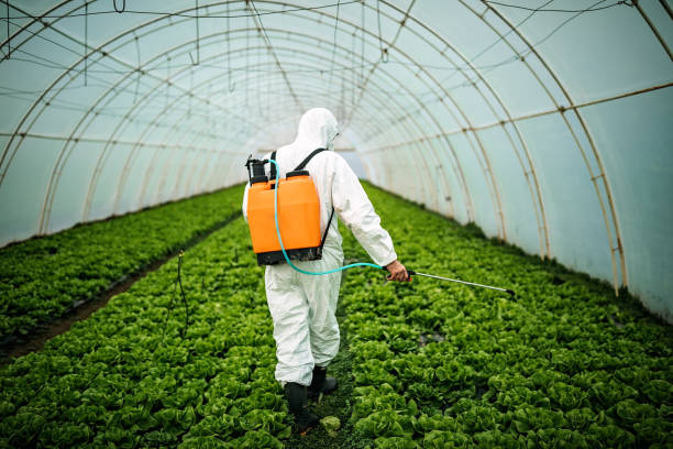 Best Affordable Pest Control Services  in Bakersfield, CA