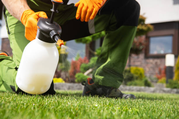Best Local Pest Control Services  in Bakersfield, CA