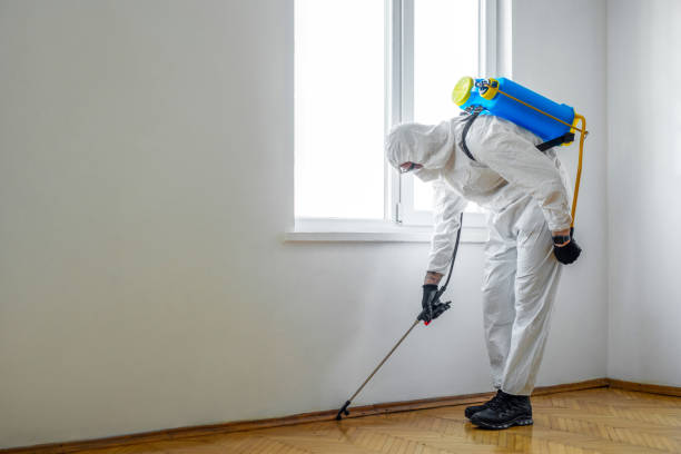 Best Commercial Pest Control Services  in Bakersfield, CA