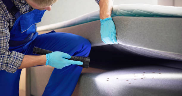 Best Pest Removal Services  in Bakersfield, CA